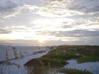 2010 Florida Beach